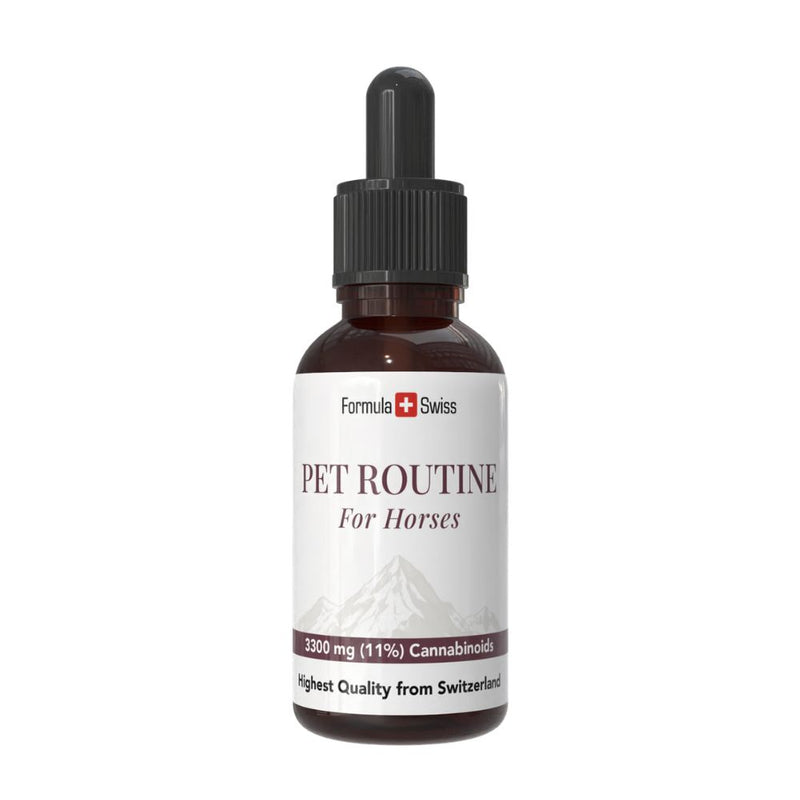 Formula Swiss Pet Routine for Horses, CBD oil with 10% CBD, dropper bottle