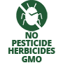 CBD Aftersun Oil Pesticide Free