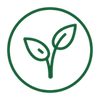 Carefully grown hemp